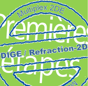 Première étapes DIGE Première étapes DIGE
