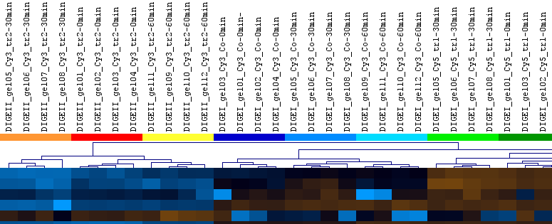 Clustering Clustering